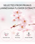 Sakura Peel-Off Maske – Tiefenreinigung und strahlende Haut