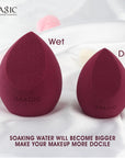 Professional Makeup Puff Sponge